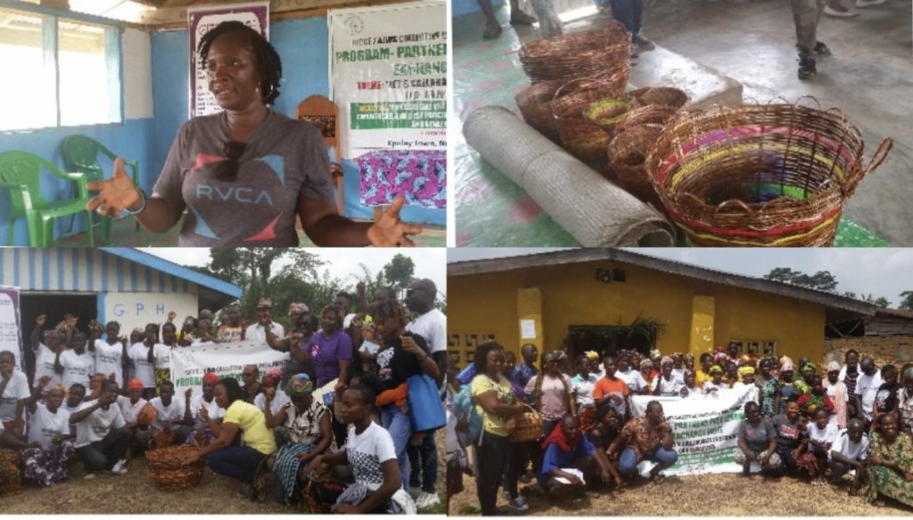 RICCE Boosts Forest Protection, Empower Women in Nimba County