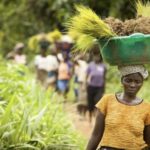 USAID Awards US$421,367 Grant To Agricultural Cooperatives, SMEs