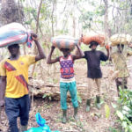 Illegal Migration Fuels Tension in Grand Gedeh