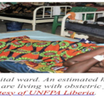 ECOWAS Commits $245K to Obstetric Fistula Care